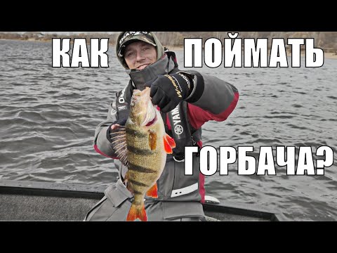 Видео: НА ЧТО клюёт КРУПНЫЙ ОКУНЬ?