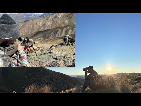 Видео: Охота в высокогорных районах Новой Зеландии | Олень с 300WinMag