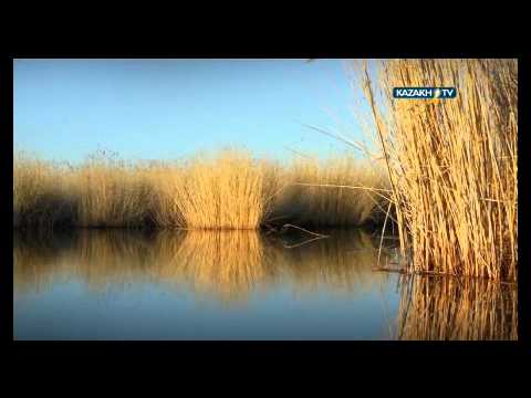 Видео: Іле өзені
