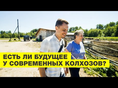 Видео: ОСТРОВОК СССР В ТВЕРСКОЙ ОБЛАСТИ | КАК СОЗДАТЬ КОЛХОЗ НА ДОЛГИЕ ГОДЫ | ОТ СОХИ ДО СОХИ | 0+