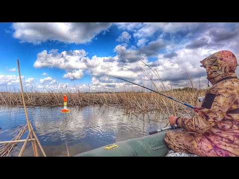 Видео: УЛОВ НЕ ПОДНЯТЬ! СКОЛЬКО ИХ ТУТ?!  Сазан, карась, красноперка! Рыбалка на поплавок.