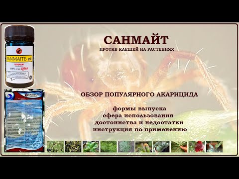 Видео: Санмайт - одно из лучших средств от паутинных и растительноядных клещей. Обзор акарицида