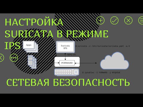 Видео: Настройка Suricata в режиме IPS средствами NFQ в Linux