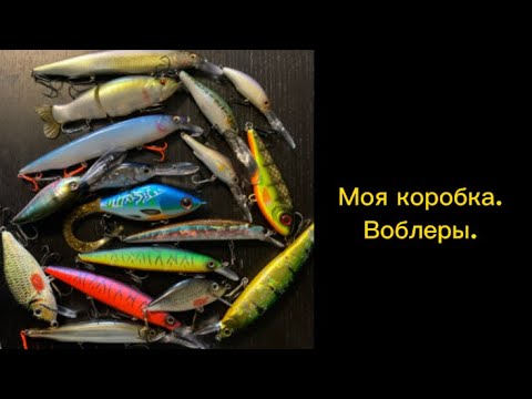 Видео: Лучшие воблеры! Твичинг,кренки,шеды, джерки. Рыбалка с лодки!