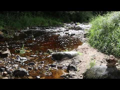 Видео: река Рагуша