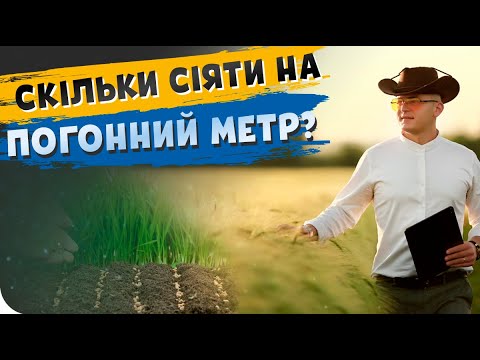 Видео: СКІЛЬКИ ПШЕНИЦІ СІЯТИ НА ПОГОННИЙ МЕТР?🌾🧐 Основи землеробства