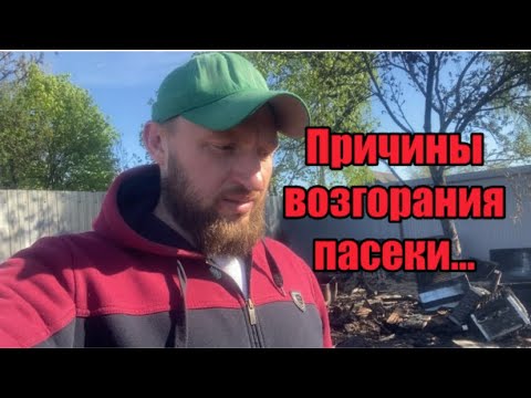 Видео: Пасека сгорела… причины возгорания…