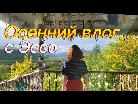 Видео: Осенний влог с Эссо 2023 | Камчатка