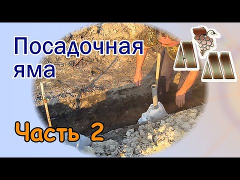 Видео: 🍇 Посадочная яма для винограда (часть 2). Заполнение грунтом, удобрение