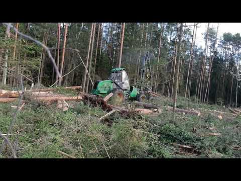 Видео: Харвестер "АМКОДОР-2551"Режет делянку. В болоте.