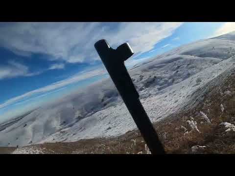 Видео: Охота в горах кбр!!!лиса,шакал,волк!!!