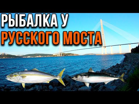 Видео: Рыбалка у Русского моста, Владивосток.