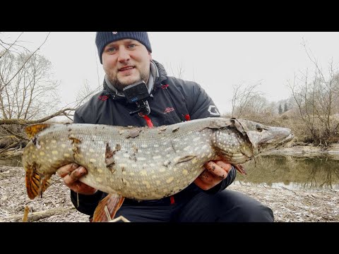 Видео: Ловля ЩУКИ на СПИННИНГ! РЫБАЛКА-МЕЧТА! ТРОФЕЙ на МАЛОЙ РЕКЕ