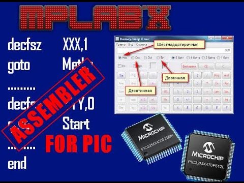 Видео: 9. Системы счисления и использование команды decfsz для PIC микроконтроллеров (Урок 9. Теория)