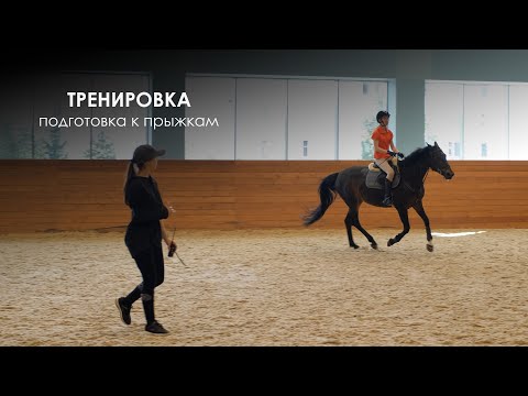 Видео: Тренировка в Equicenter School Северный | Подготовка к прыжкам, работа с жердями