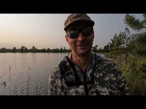 Видео: Золотой карась, щука, краснопёрка. Первая летняя рыбалка 2025г.