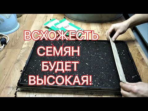 Видео: Как подготовить ГРУНТ ДЛЯ ПОСЕВА ЦВЕТОВ? ВАЖНЫЕ МОМЕНТЫ для высокой всхожести семян!