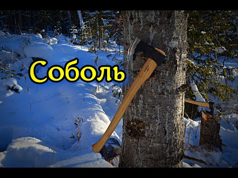 Видео: Соболь. Новые тесты