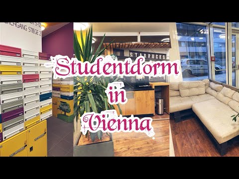 Видео: Room tour//Где я живу?//общежития в Вене//STUWO SEESTADT