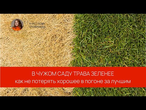 Видео: Как не потерять хорошее в погоне за лучшим