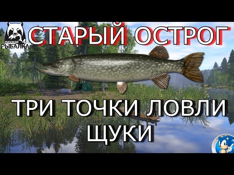 Видео: 🌟СТАРЫЙ ОСТРОГ🌟ТРИ НОВЫЕ ТОЧКИ НА ЩУКУ🌟Русская Рыбалка 4(РР4)🌟