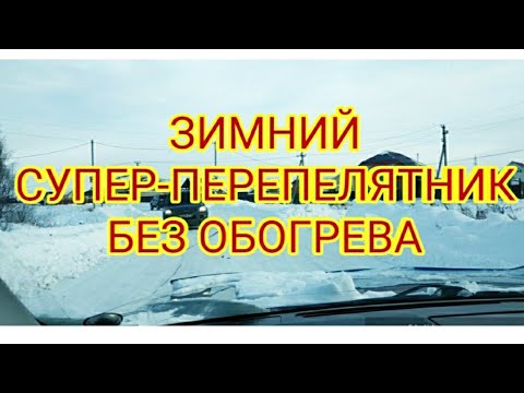 Видео: ЗИМНИЙ ПЕРЕПЕЛЯТНИК БЕЗ ОБОГРЕВА. КАКИЕ КУРЫ НЕСУТСЯ ПРИ -15С°