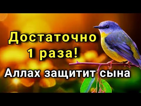Видео: ☝️ ЭТО САМАЯ СИЛЬНАЯ МОЛИТВА ЗА СЫНА!СПАСЁТ ОТ БЕДЫ ЗЛЫХ ЛЮДЕЙ ПОРЧИ СГЛАЗА СИЛЬНЫЙ ОБЕРЕГ!  🤲✨💯