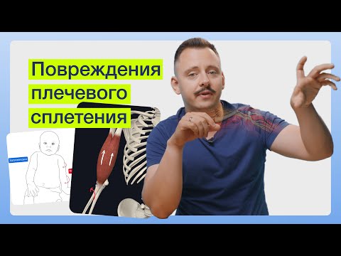 Видео: Почему одна травма плеча заставляет руку «виснуть», а другая превращает пальцы в «когти»?
