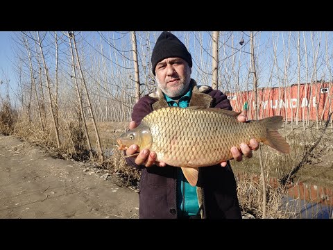 Видео: Балик эмас болишлар 😱👍👍