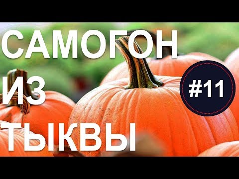 Видео: Как гнать самогон из тыквы? Сахаристость браги / Рецепт самогона из тыквы / Дрожжи