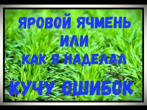 Видео: яровой ячмень no till