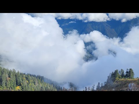 Видео: ♡ горная деревня, лес в облаках, Абхазия 
