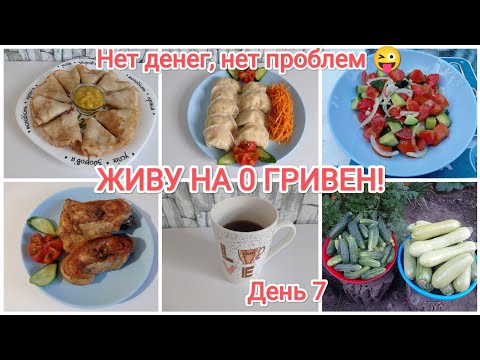 Видео: ЖИВУ НА 0 ГРИВЕН!!! День 7 