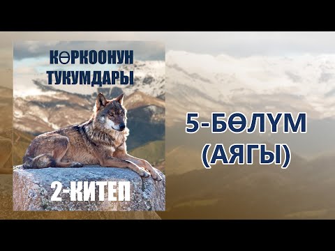 Видео: "Көркоонун тукумдары" - Асанбек Кулманбетов | 2-китеп | 5-бөлүм (аягы) | Укма Китеп