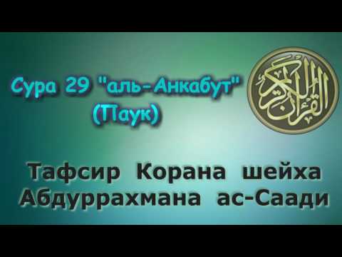 Видео: 29. Тафсир суры аль-Анкабут (Паук)