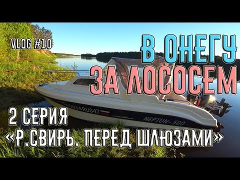 Видео: Поход на катере из Питера в Онежское Озеро за лососем. 2 серия "Свирь. Перед шлюзами".  VLOG#10