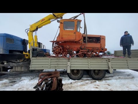 Видео: Покупка ДТ-75. Вывоз зерна