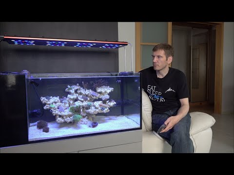 Видео: Запуск морского аквариума 5 серия.  Новый свет. Новые кораллы. Кормление
