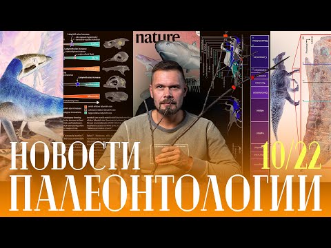 Видео: Мумия динозавра | Парад силурийских рыб из Китая | Большие орнитомимозавры | Мы на конференции