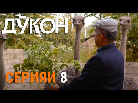 Видео: «Дӯкон» - Серияи 8 l Қисми ниҳоии силсилафилм
