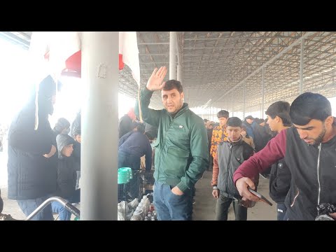 Видео: рынок г Душанбе Рудаки Ленинский район падписатся барои пеш рави 02.02.25.год