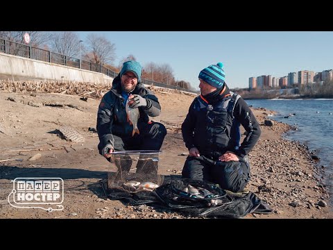 Видео: Трофейная плотва! Совместная рыбалка с Сергеем Пузановым! Патерностер. Серия 22. /Moscow Fishing/