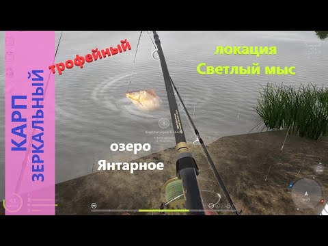 Видео: Русская рыбалка 4 - озеро Янтарное - Карп зеркальный трофейный - случайный