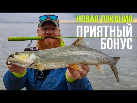 Видео: Китайский ОКУНЬ на ДЖИГ. Стеклянный спиннинг Shimotsuke Turing Monkey sp40.