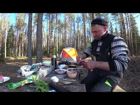 Видео: ВЫРВАЛИСЬ в ТАЙГУ с НОЧЁВКОЙ. ЛОВИМ на ДЕДОВСКУЮ СНАСТЬ. ОТДЫХ с СЕМЬЁЙ. Часть вторая.
