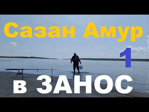 Видео: Сазан Амур  В ЗАНОС! ч 1.