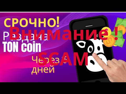 Видео: Проект Real cows house соскамился. Внимание, не переводи деньги