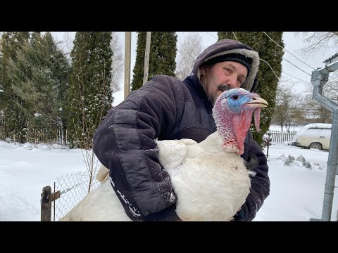 Видео: Снігу- снігу білого  насипала зима ... а роботи  не поменшало...