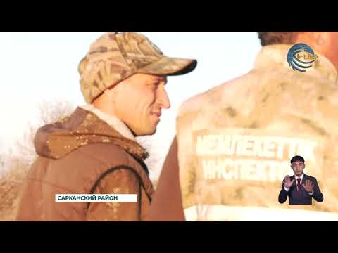 Видео: С 1-го ноября расширился список дичи для охотников-любителей