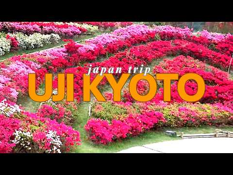 Видео: Азалия в храме Мимурото, кафе Matcha, главный магазин Накамура Токичи